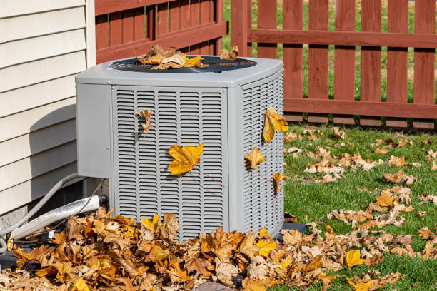 Best HVAC air duct cleaning  in Royal Hawaiian Estates, HI